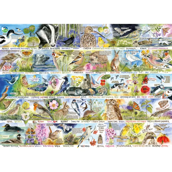 RSPB Birdsong & Bluebells 1000 Piece Jigsaw Puzzle - Mind Games Southport