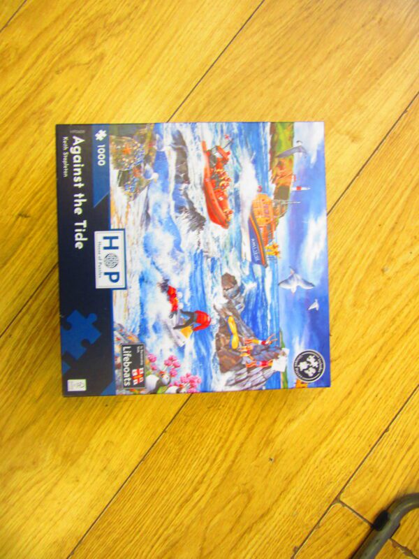Against the Tide PRE-OWNED Jigsaw Puzzle ( 1000 Pieces ) - Mind Games ...